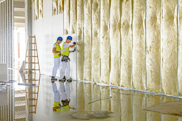 Best Cellulose Insulation in Woodbury Heights, NJ